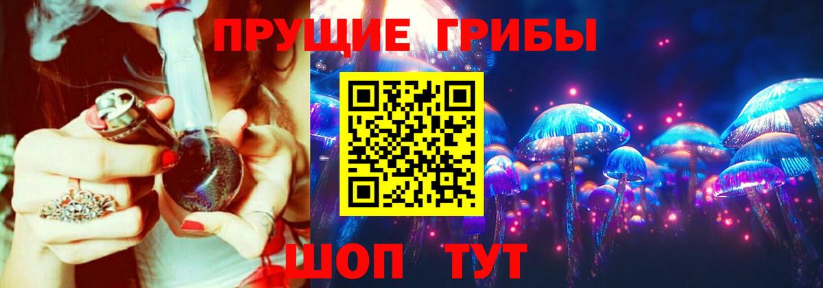 Псилоцибиновые грибы Cubensis Бердск